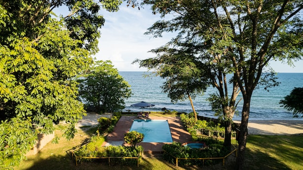 A pool area with a view of the sea, surrounded by trees and a sandy beach. - Sunbird Chintheche Inn (Chintheche)