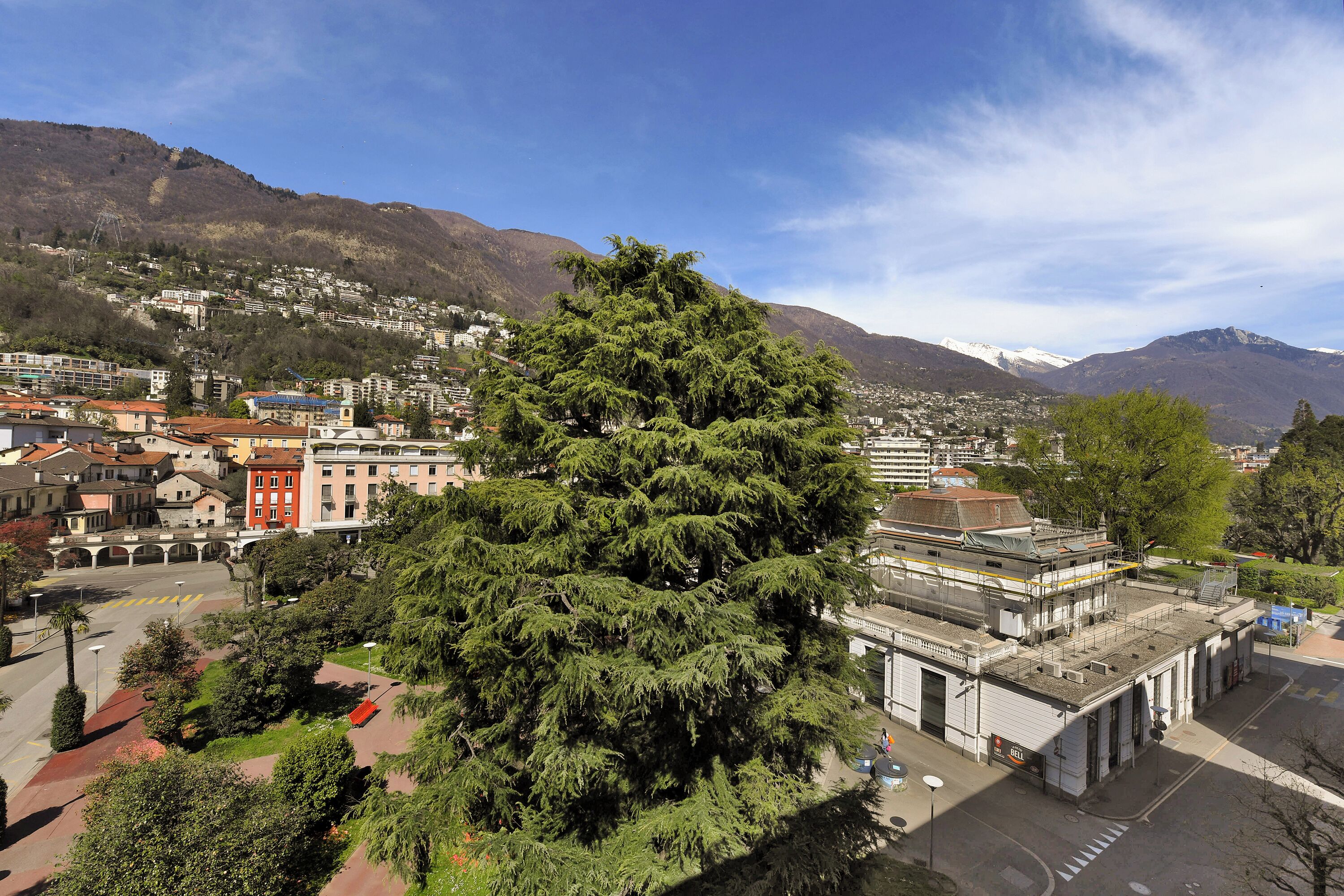 A town with a prominent tree in the foreground, a mix of residential and commercial buildings, and mountains in the background.