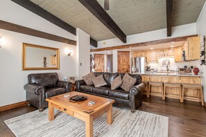 Fernseher, Kamin