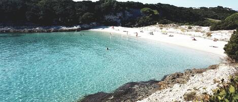 Playa en los alrededores
