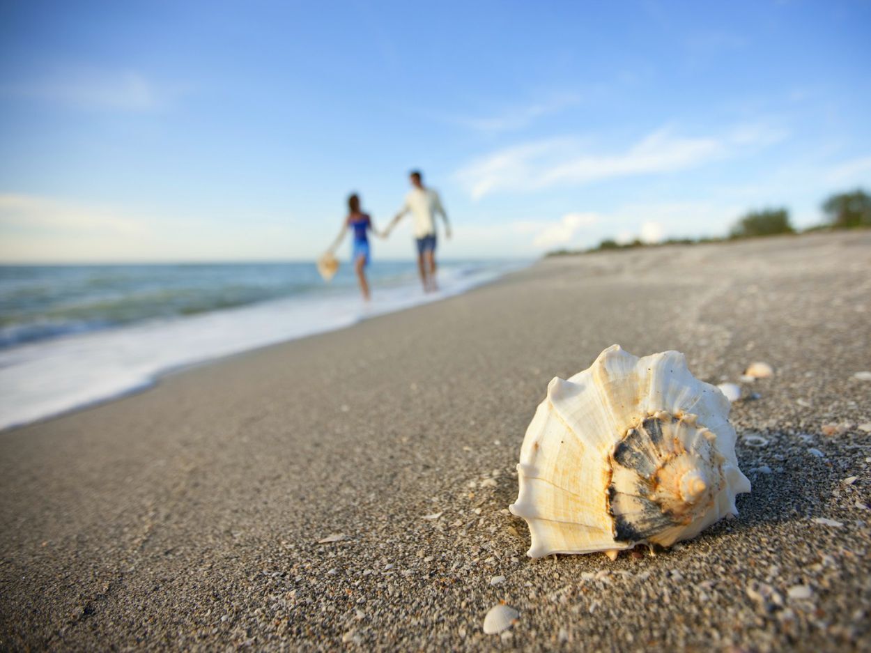 Strand