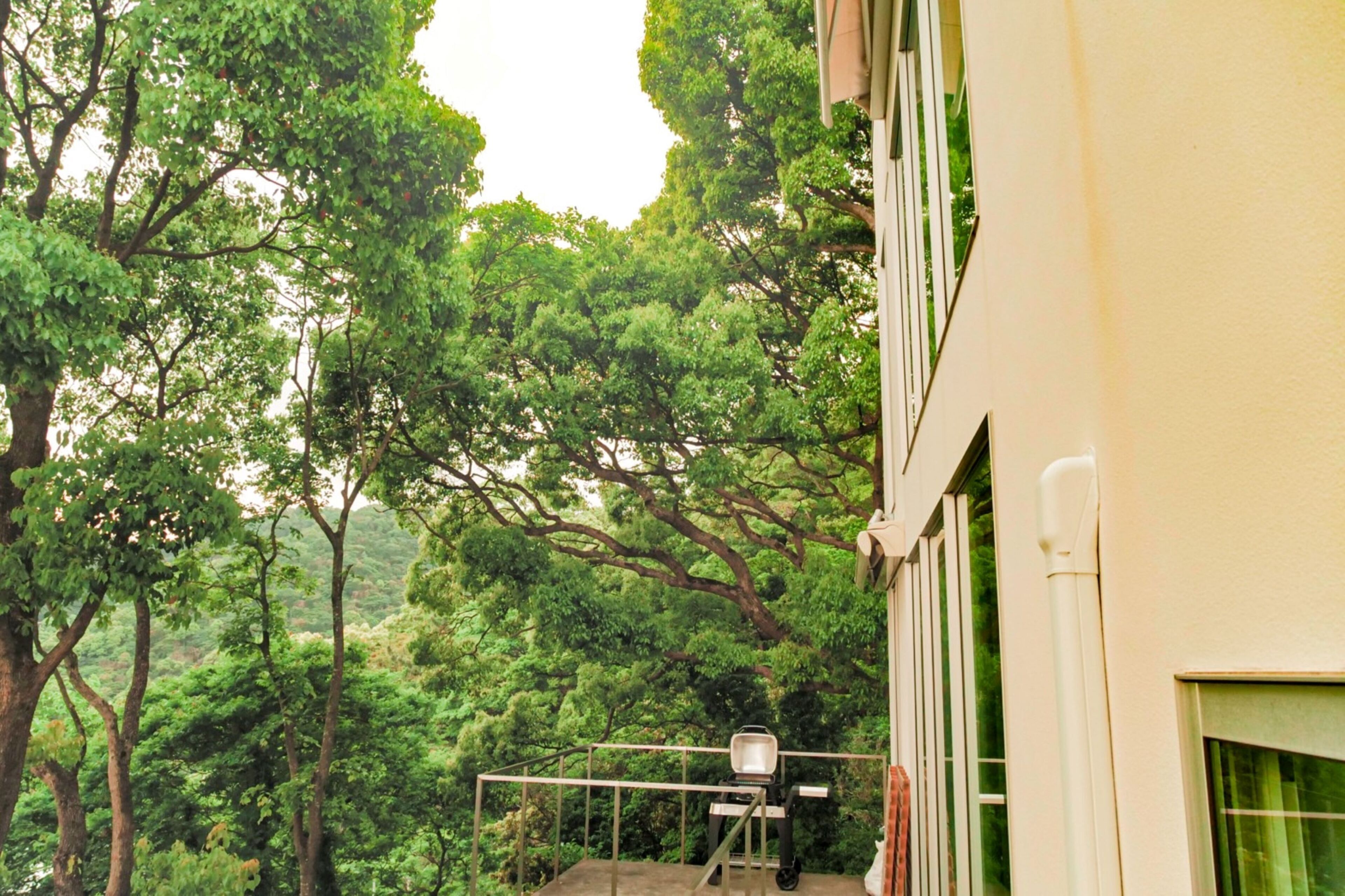 A balcony with a chair, surrounded by lush green trees.