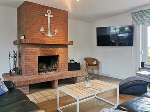 TV connectée, cheminée, lecteur de DVD, livres