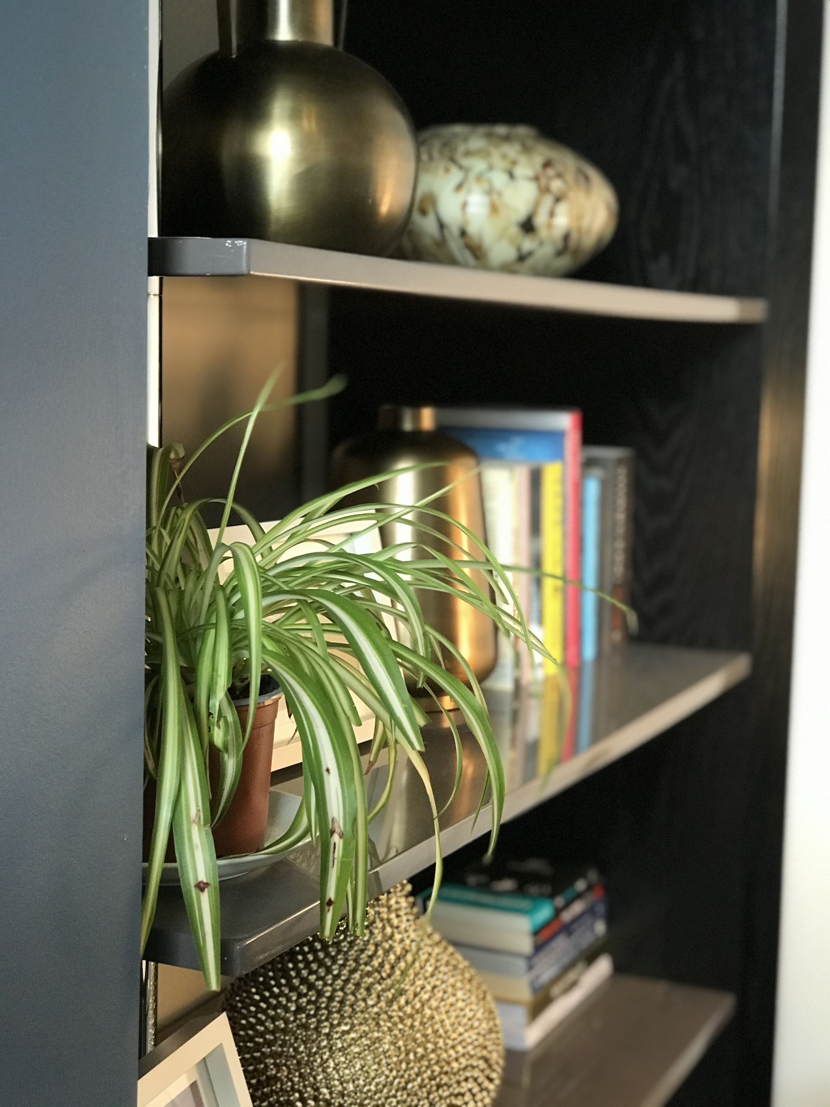 A bookshelf with a potted plant, a decorative vase, and books.