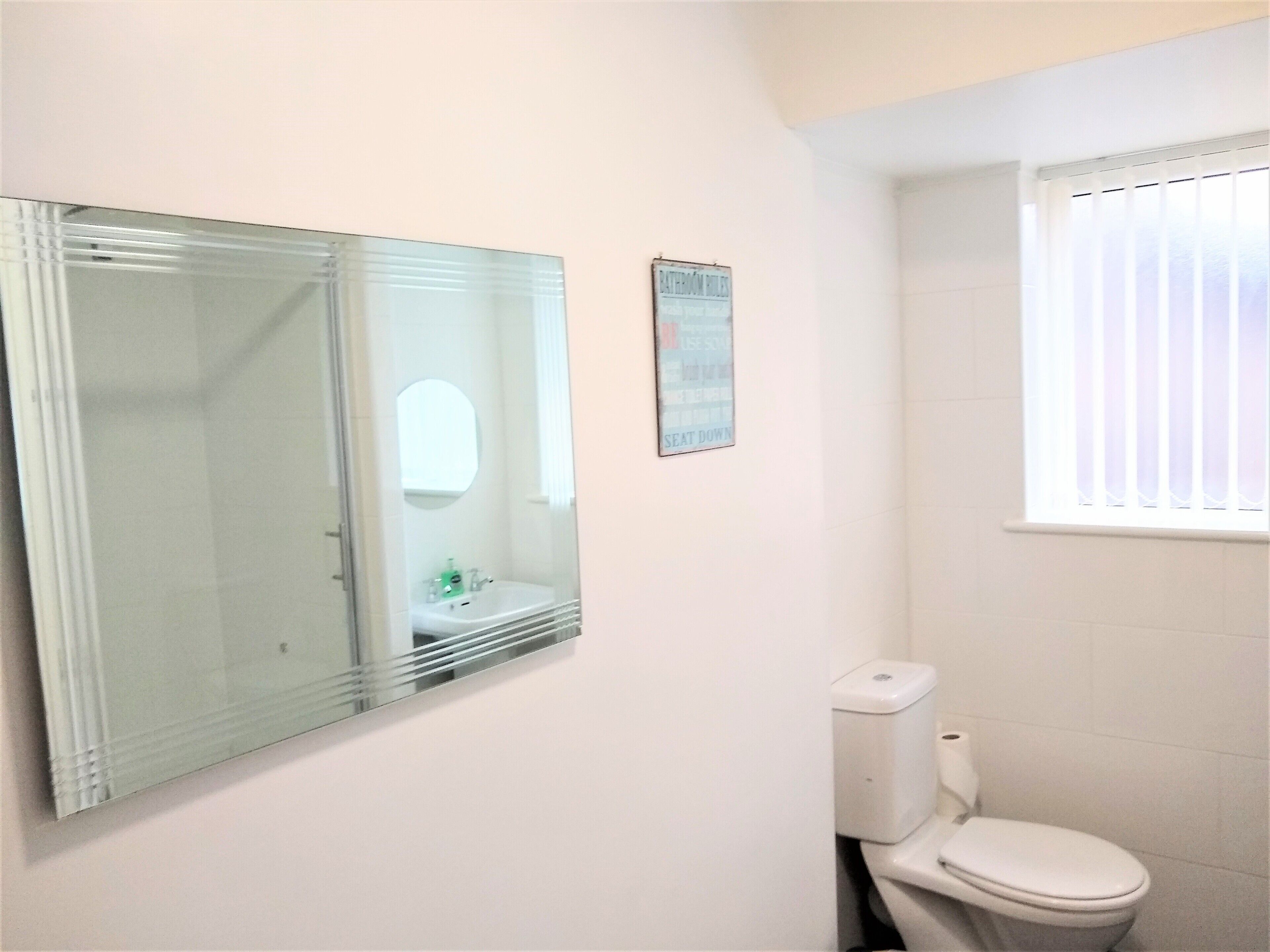 A bathroom with a toilet, a sink, and a mirror.