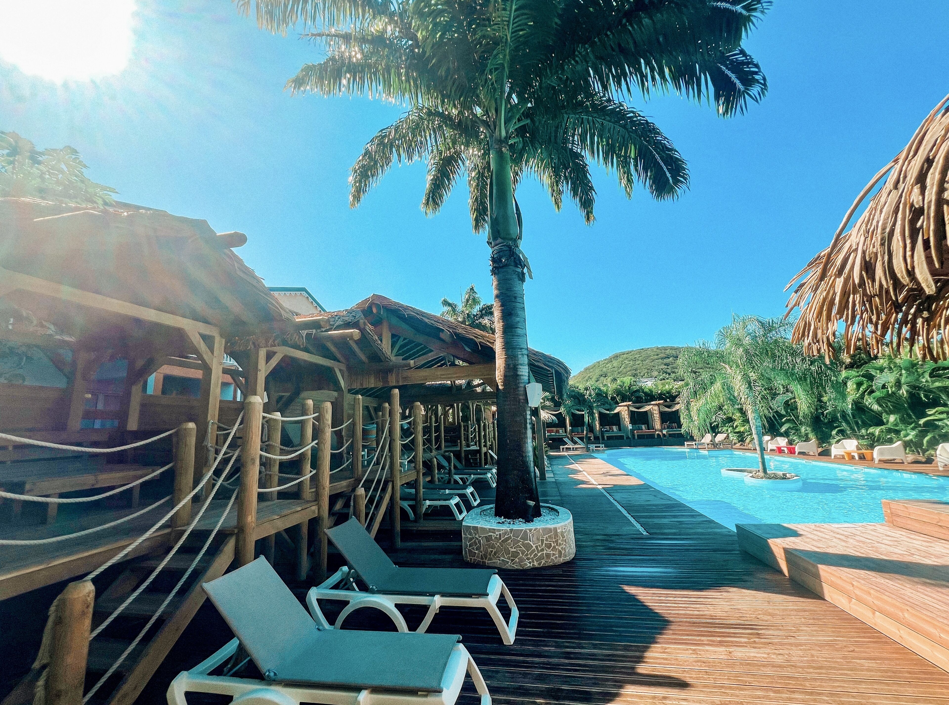 Terraza de madera con sillones de descanso y una palmera, que da a un área de piscina bajo un cielo azul claro.