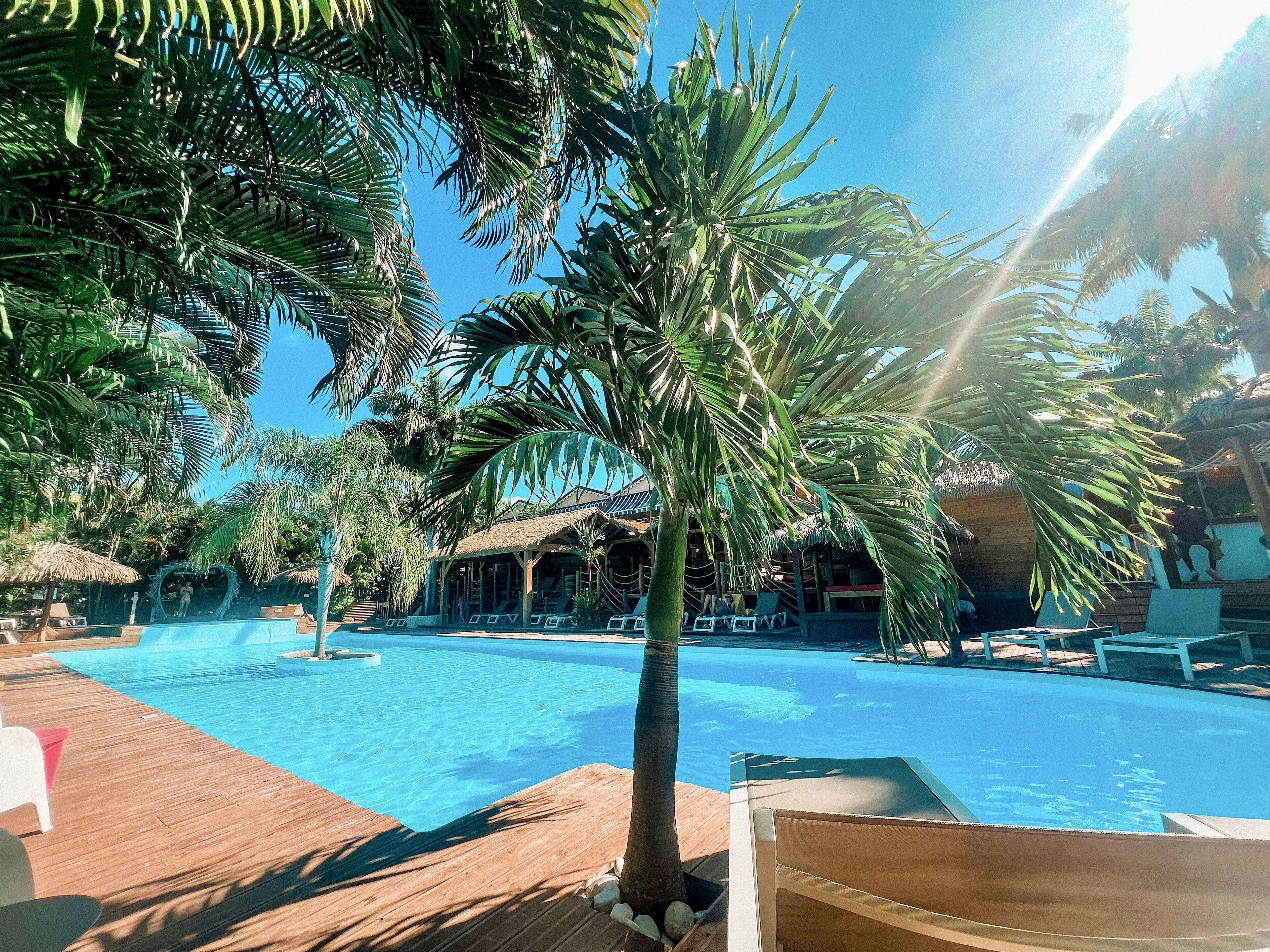Un área de piscina con sillas de descanso, palmeras y una estructura de techo de paja.