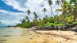 Ein tropischer Strand mit klarem Wasser, Palmen und einer felsigen Küstenlinie.