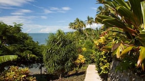 Ein Weg, der zu einem Strand mit Palmen und tropischer Vegetation führt.