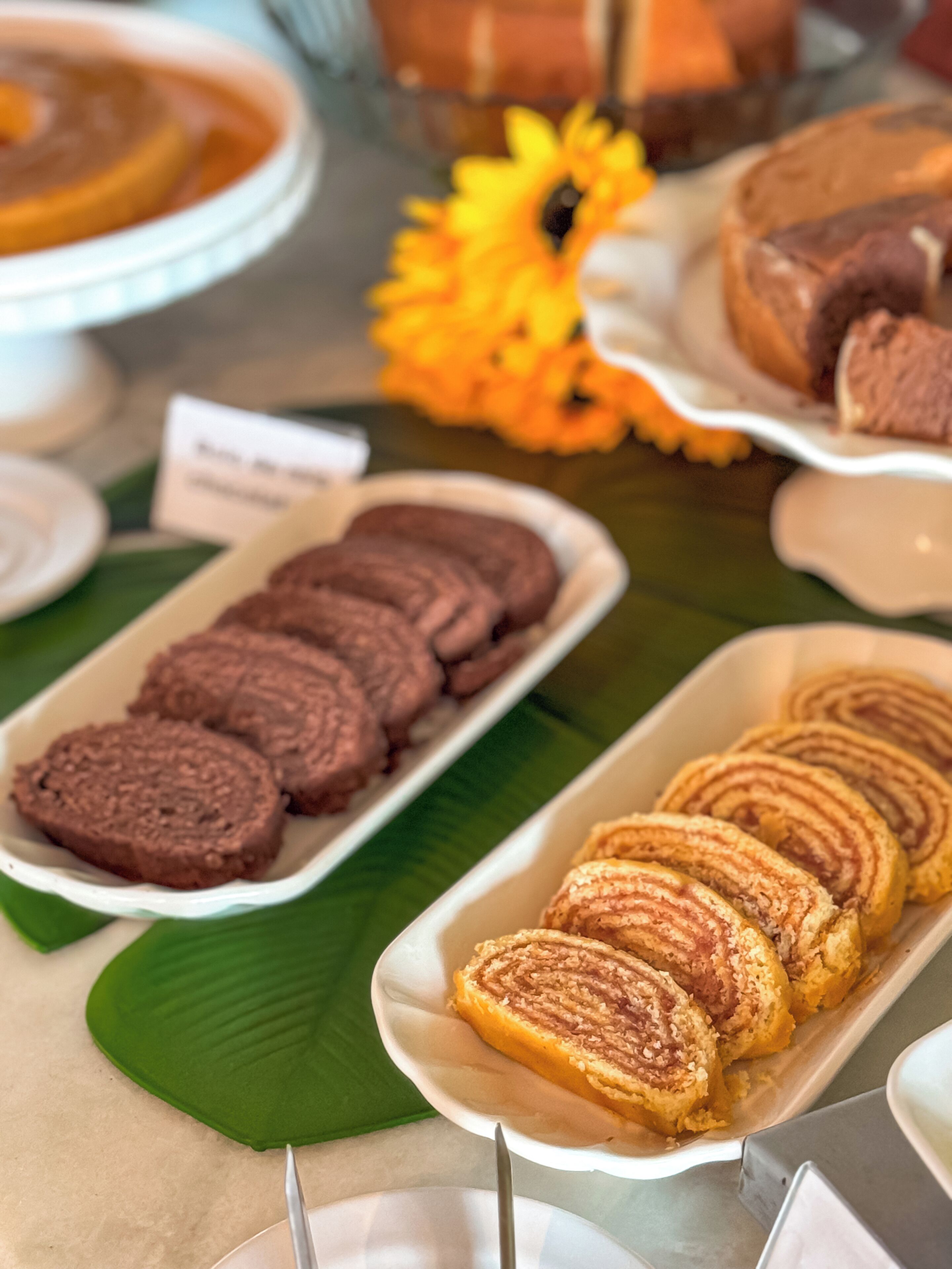 Foto - Pousada Tropical Maragogi