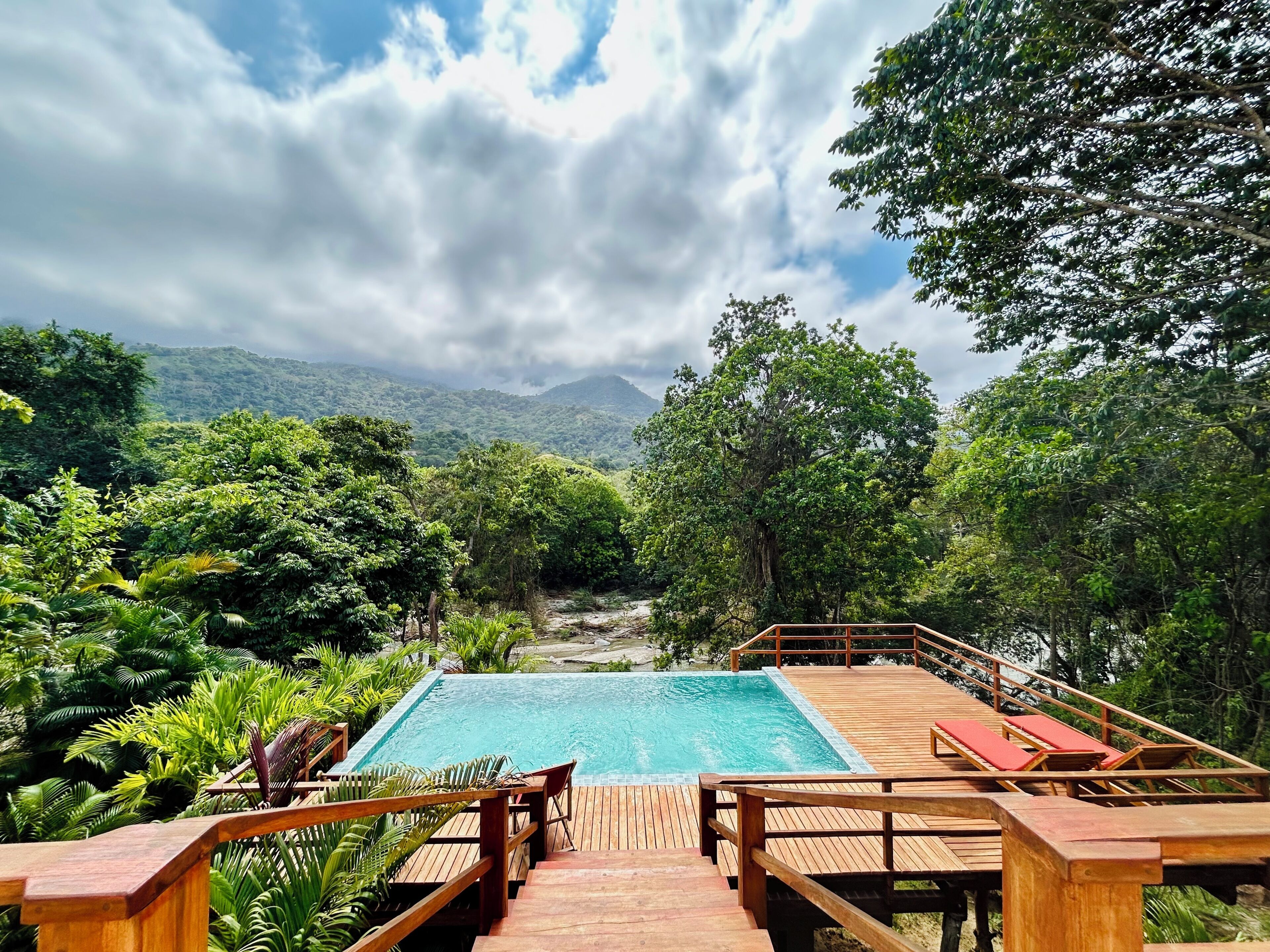 Una terraza de madera con piscina, rodeada de exuberante vegetación y árboles.