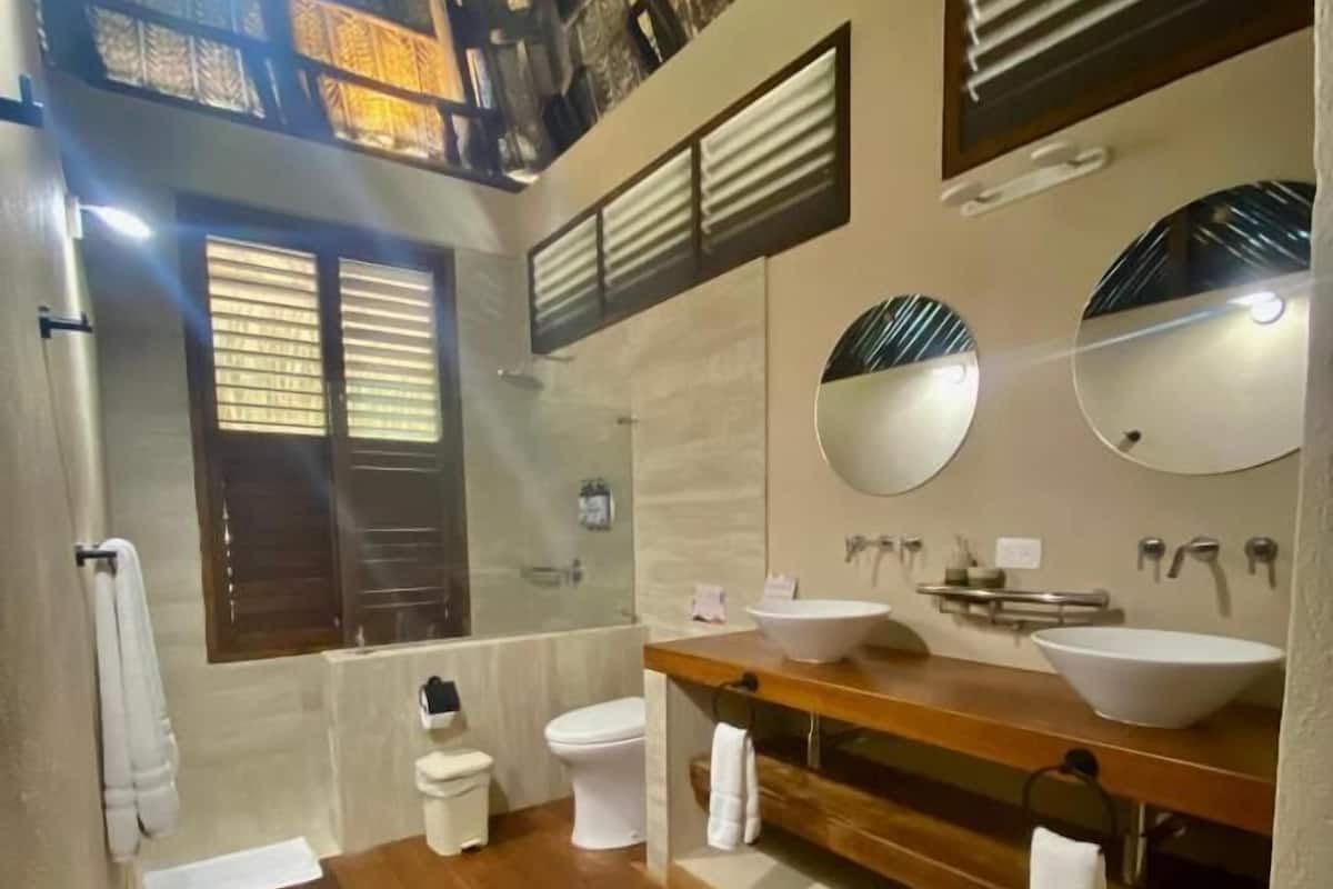 deluxe room | bathroom | shower, towels