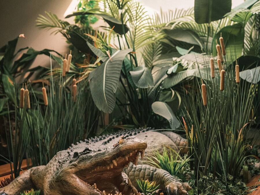 Un modelo de cocodrilo en una fuente de agua rodeado de plantas tropicales y rocas.
