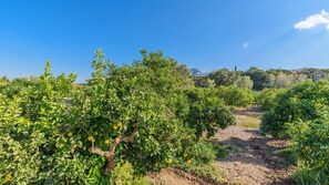 Áreas de la propiedad
