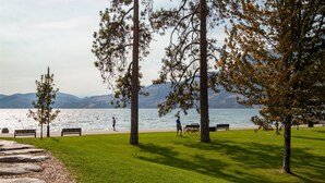 A park with a lake, benches, and trees.
