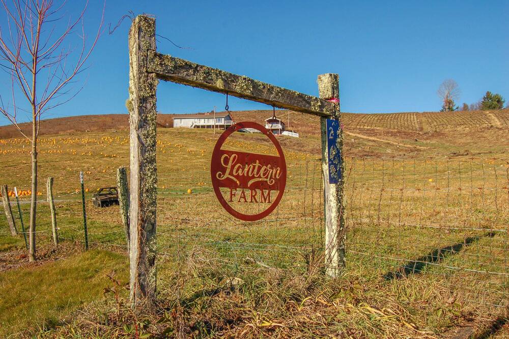 Limited Time - $99 \/ Night - On the Blue Ridge Parkway - Views - Hiking - Boone - West Jefferson