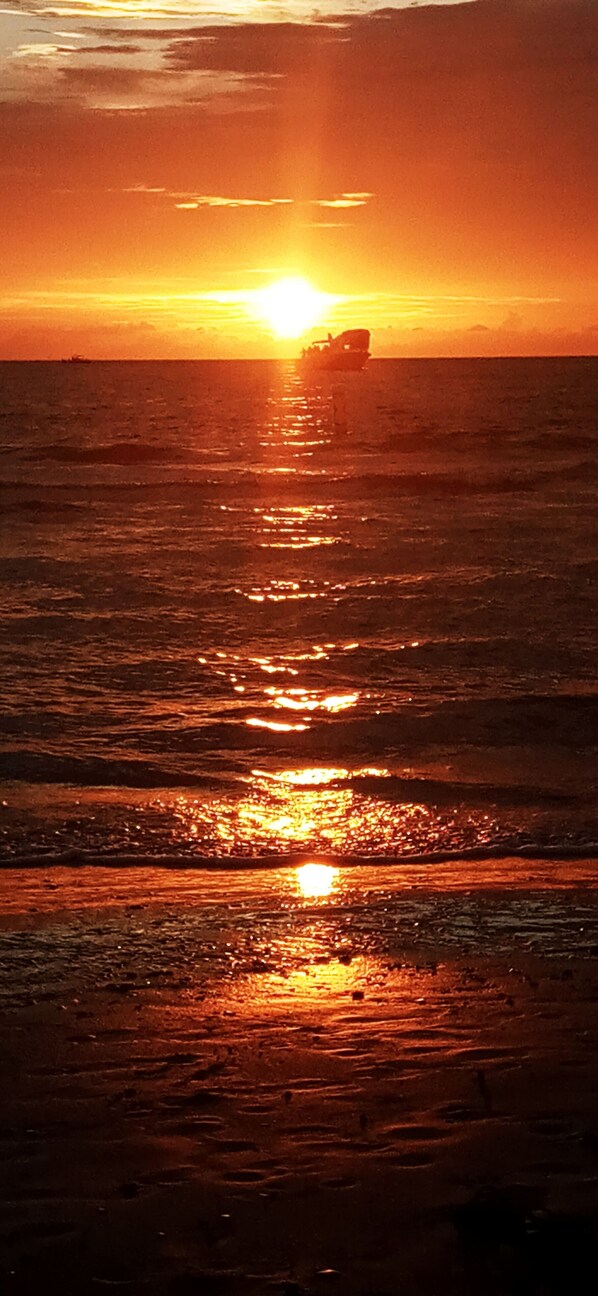 بالقرب من الشاطئ