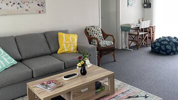 Smart TV, Netflix, DVD player, streaming services