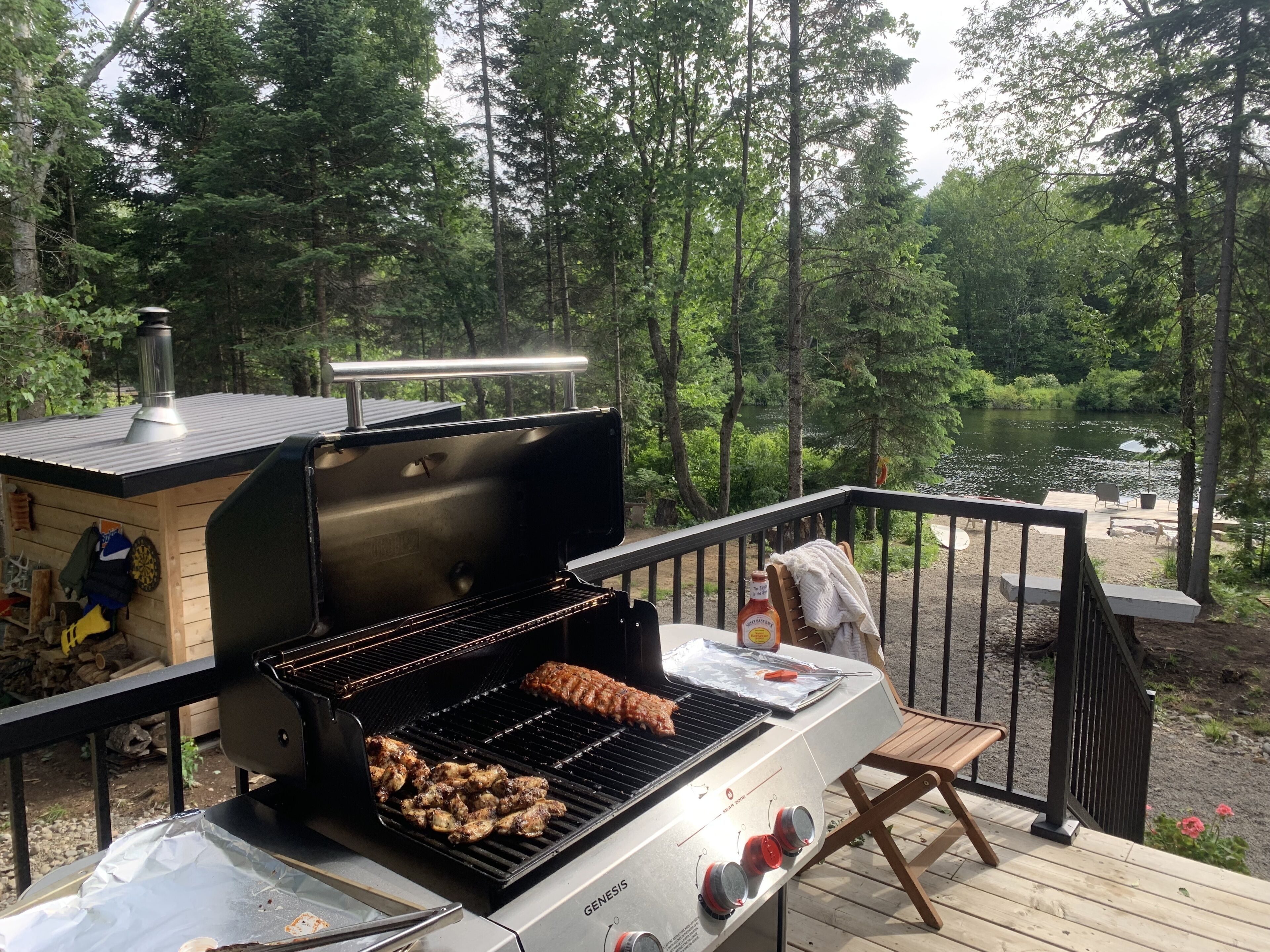 Een barbecue met uitzicht op een meer en bos.