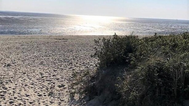 A sandy beach with sparse vegetation and a clear view of the ocean.