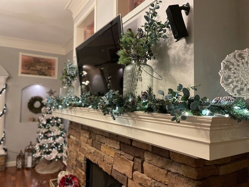 Beautiful Historic Home near Downtown Hot Springs!