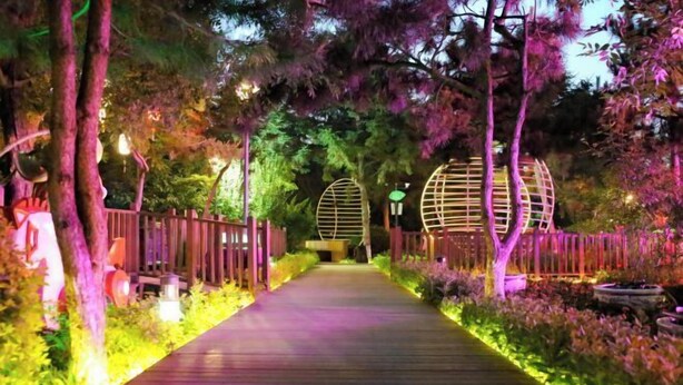 Un sendero bordeado de árboles, iluminado con luces suaves, que conduce a estructuras esféricas.