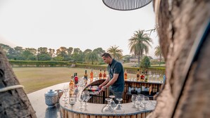 Zona de bar con un cantinero preparando bebidas, rodeada de botellas y vasos, con vista a un jardín ajardinado.