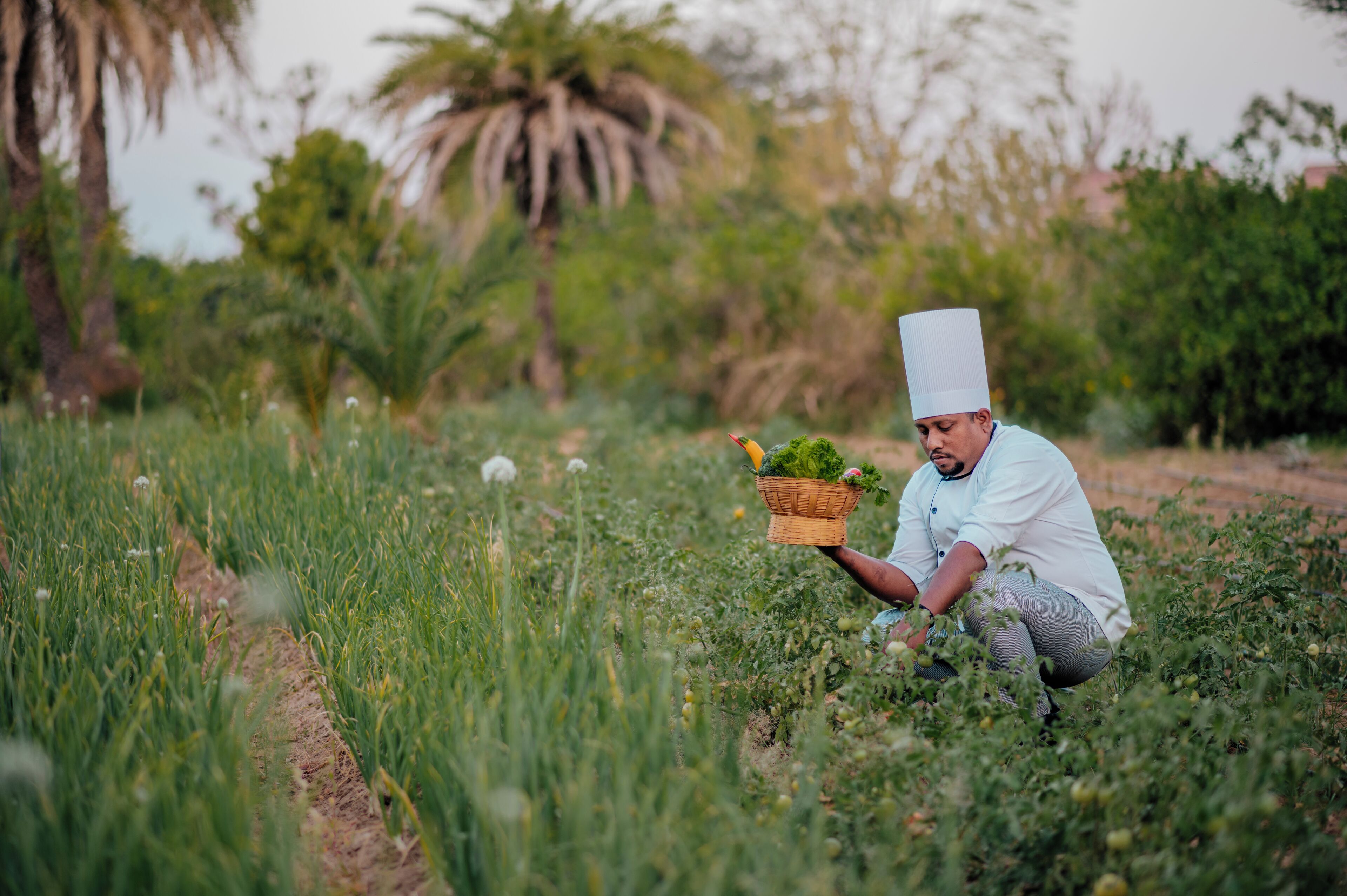 A person in a white chef's hat kneeling in a field holding a basket of fresh produce.