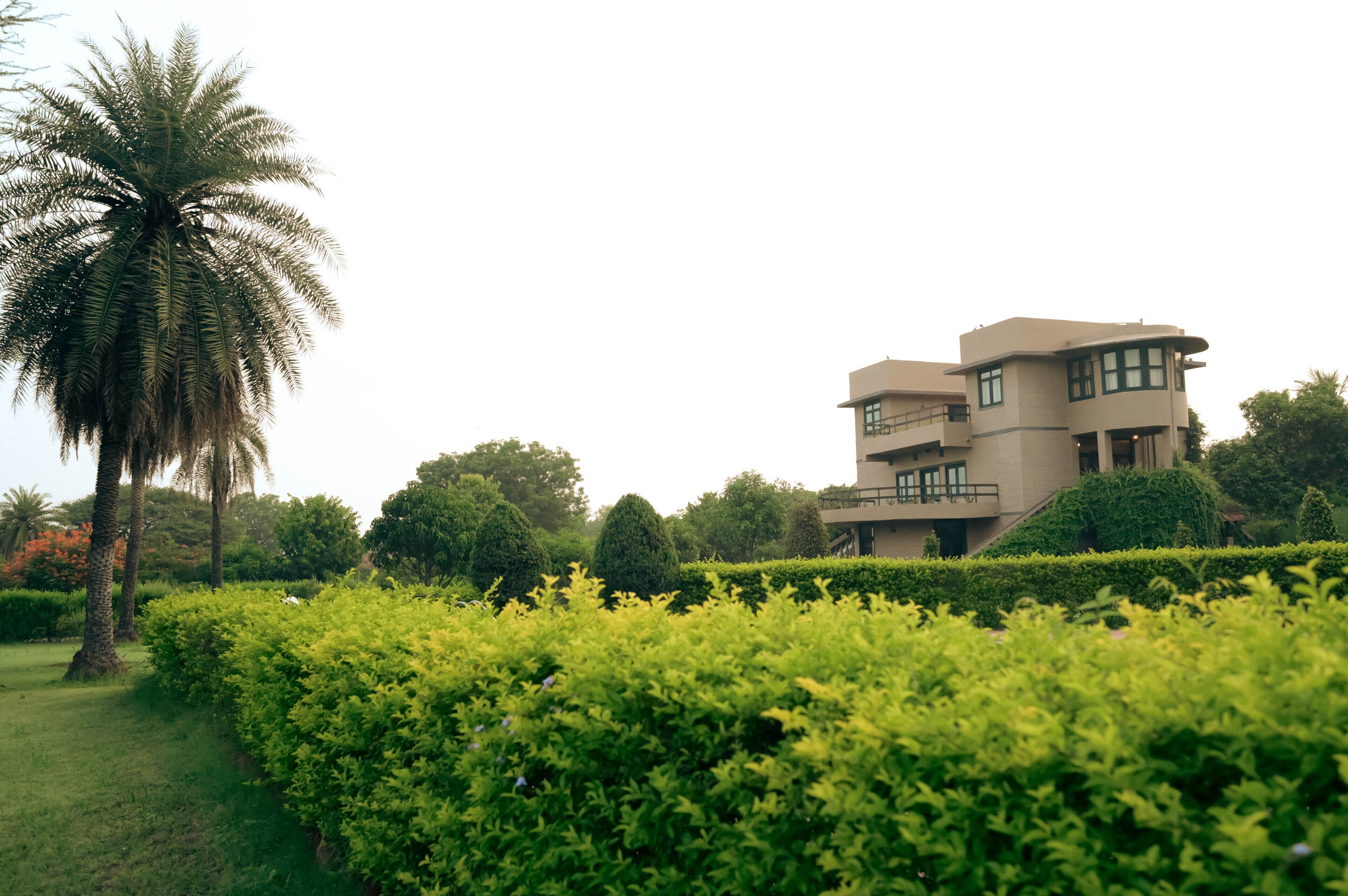 A modern building with a flat roof and multiple levels, surrounded by well-maintained greenery and a palm tree.