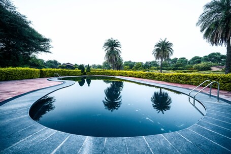 A circular swimming pool with a clear reflection, surrounded by manicured hedges and palm trees.