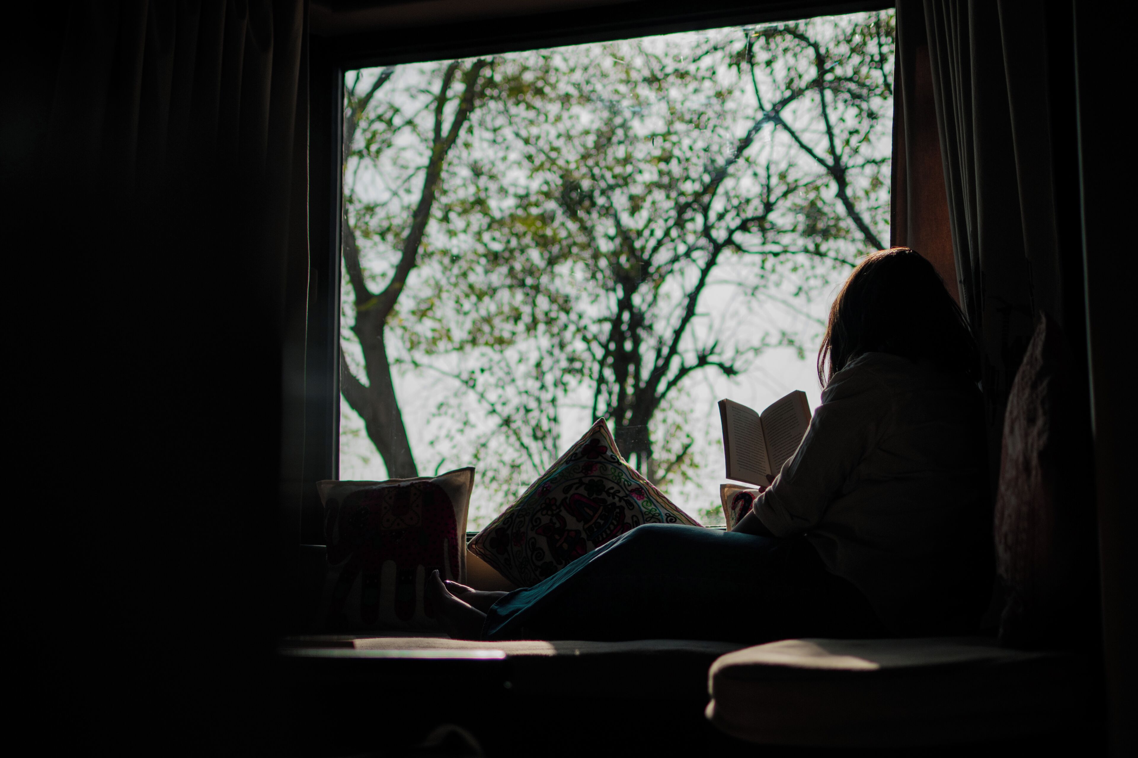 A person sitting by a window with a tree view, reading a book.