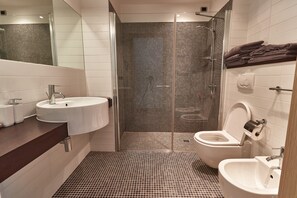 Shower, hair dryer, bidet, towels