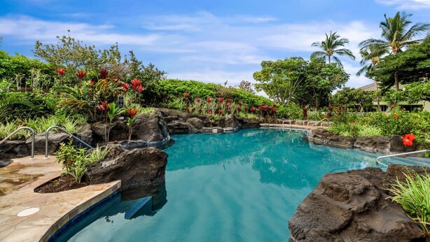 Una piscina rodeada de plantas tropicales y rocas.