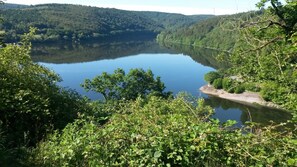 Uklassifisert bilde, 5 av 56, knapp