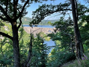 Uklassifisert bilde, 3 av 56, knapp