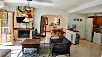 Televisión, chimenea, reproductor de DVD y tenis de mesa