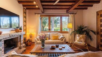 Een televisie en een open haard