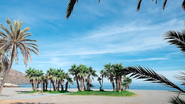 A beach with palm trees and a clear sky. - Holiday Apartment "Casa Chana" with Terrace, Shared Pool and Jacuzzi (Almunecar)