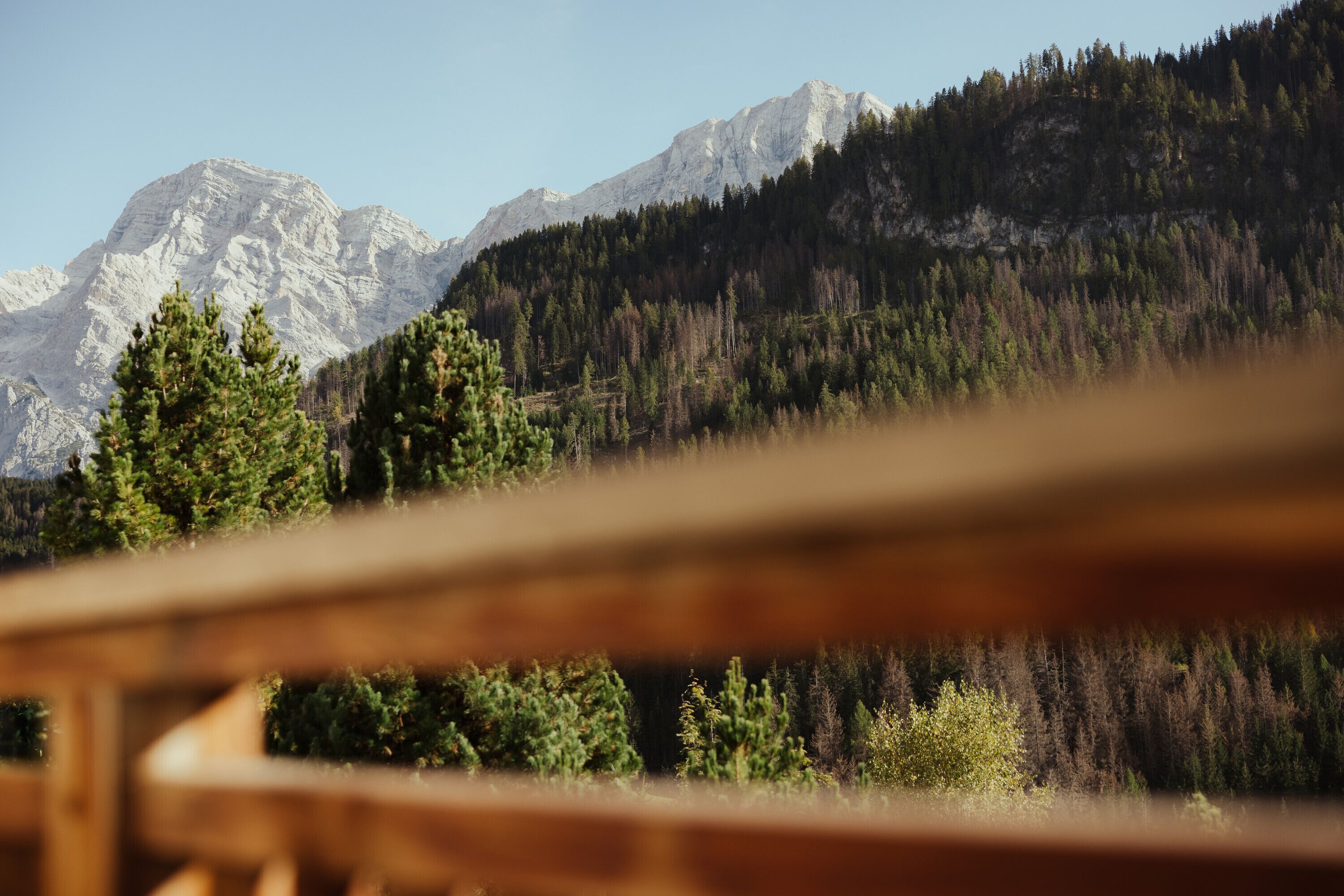 Vista dalla struttura