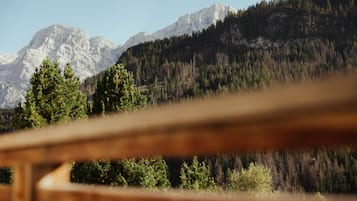 Vista dalla struttura