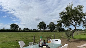 An outdoor table set with chairs, a bottle, glasses, and a tray, surrounded by a grassy field and trees. - Renovated cottage in Pierrefitte-sur-Loire with garden and parking (Pierrefitte-sur-Loire)