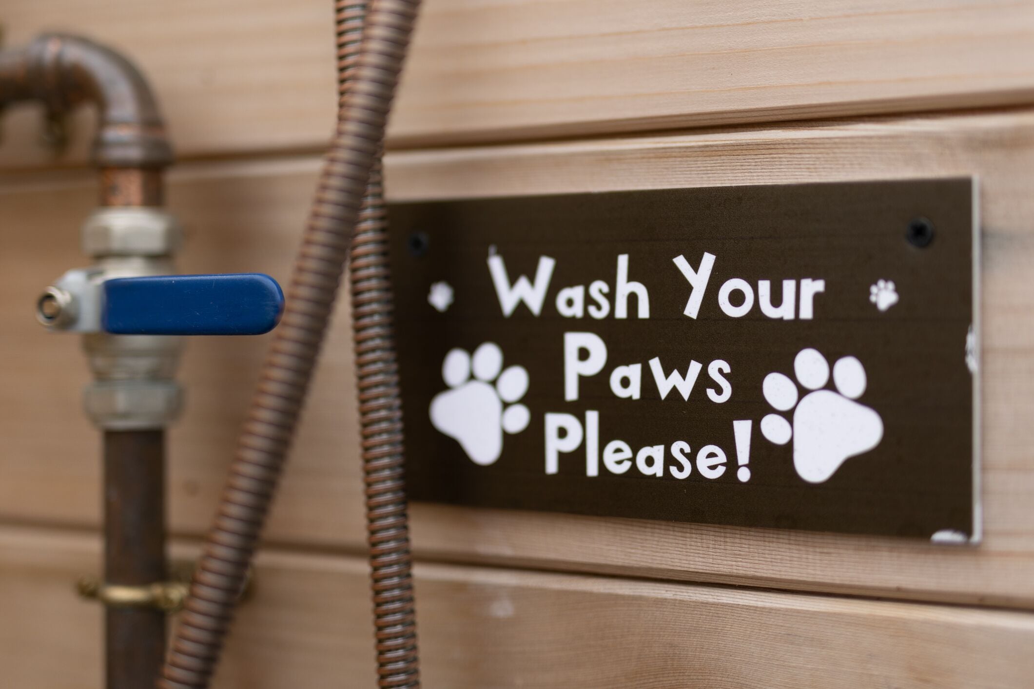 A sign that reads "Wash Your Paws Please!" with paw prints, attached to a wooden wall near a hose.