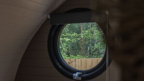 A circular window with a view of a wooden fence and dense foliage. - Calon (Tenby)