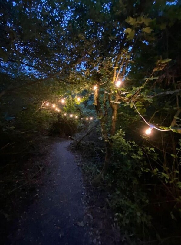 Un sendero estrecho y sin pavimentar atraviesa un área boscosa, con luces colgantes que crean un brillo cálido.