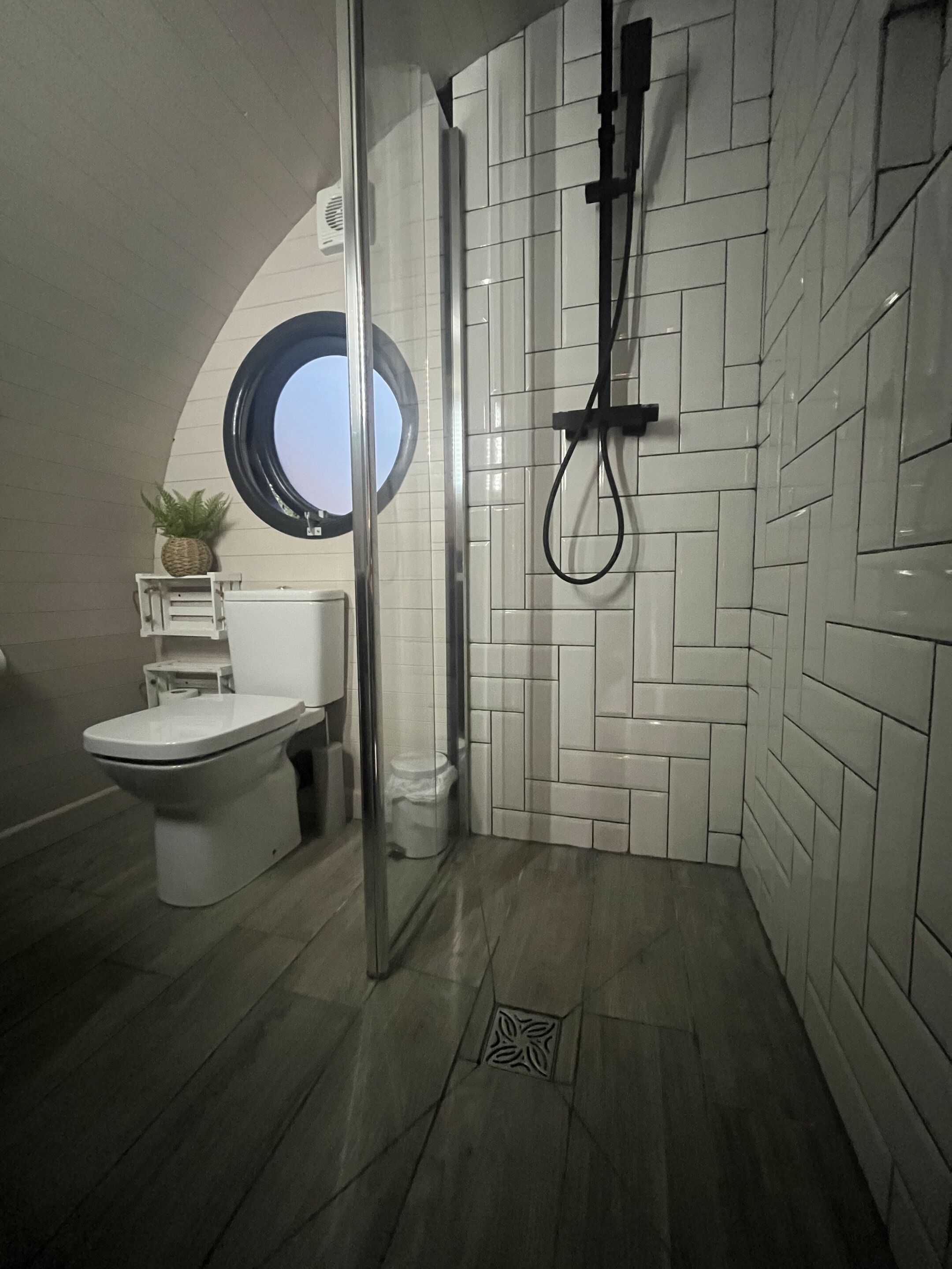 A modern bathroom with a glass shower enclosure, a toilet, and a sink.