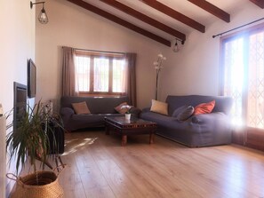 TV, fireplace, DVD player, video library