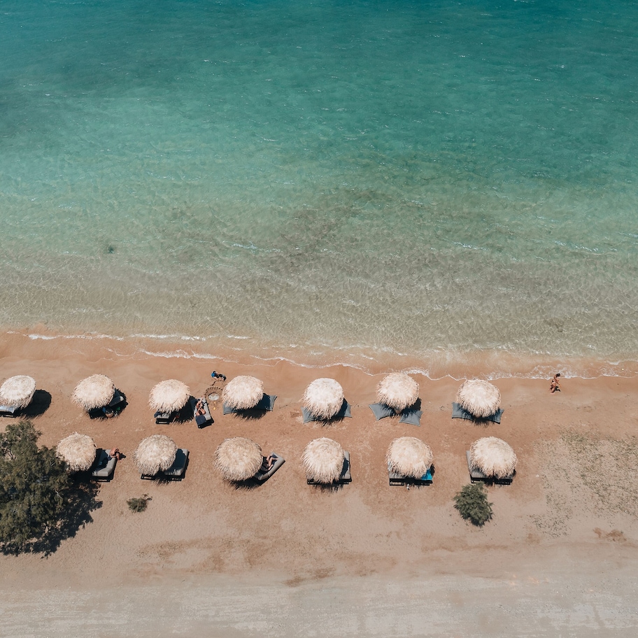 An aerial view of a beach with rows of thatched umbrellas and lounge chairs.