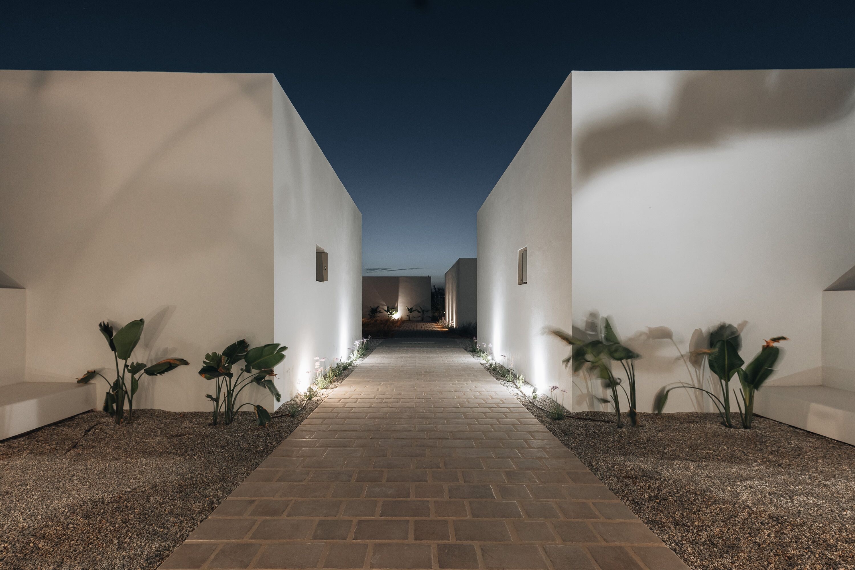Un chemin bordé de murs blancs menant à un bâtiment situé au loin, avec de petites plantes et du gravier de chaque côté.