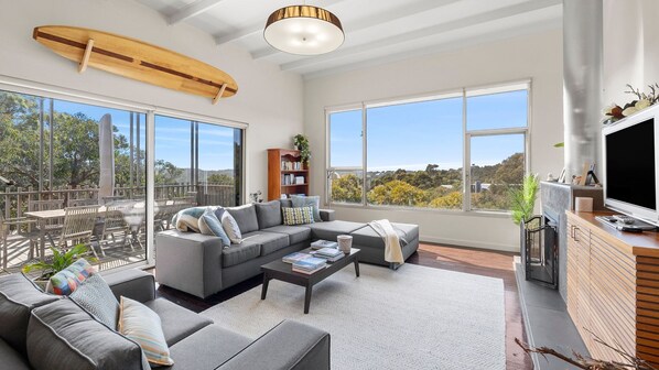 TV, fireplace, books - Tree Top House resort style luxury in Fairhaven (Fairhaven)