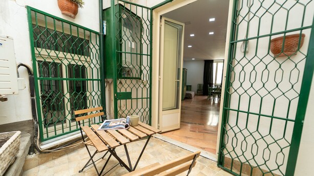 A room with a wooden table and chairs, a potted plant, and a green metal gate.
